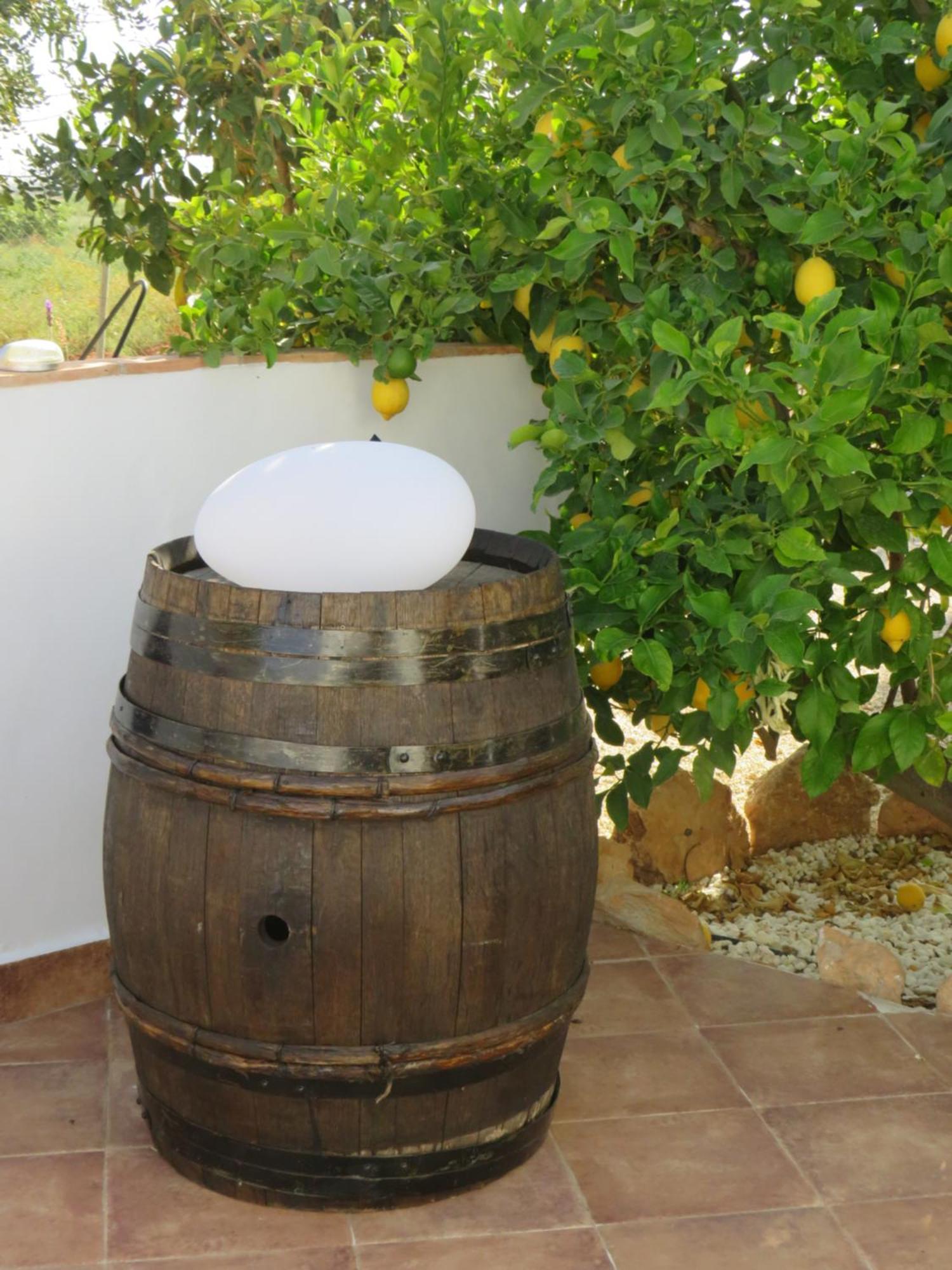 B&B Finca La Manchica Cartagena Luaran gambar